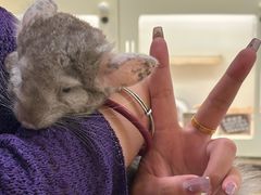 -龙猫仔乐园(惠福东路店)