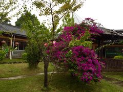 -朝伟清真铜瓢牛肉馆(三十年老·店)