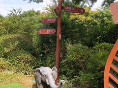 -碧桂园润杨溪谷温泉酒店