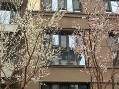 -石家庄市植物园