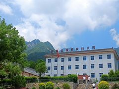 -王顺山国家森林公园