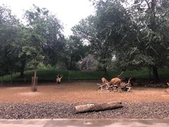 -北京野生动物园