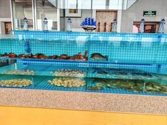 -视界美食自助餐厅·石家庄希尔顿酒店