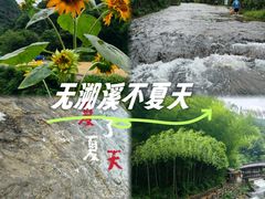 -花溪风景区