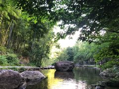 -山沟沟景区