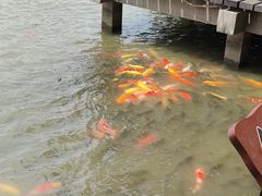 -采石矶景区