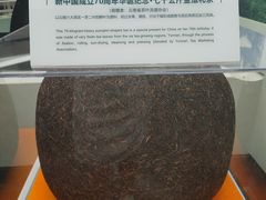 -中国茶叶博物馆(双峰馆区)