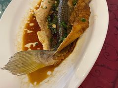 -锦江饭店锦北楼-锦江厅