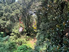 -WeLope紫金山探险公园