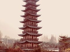 -上海方塔园