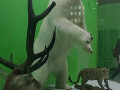 -国家自然博物馆