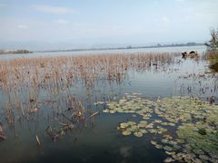 -西昌邛海湿地
