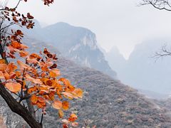 -周口店坡峰岭风景区