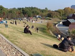 -南京四方酒店-傲途格精选·椽宫中餐厅