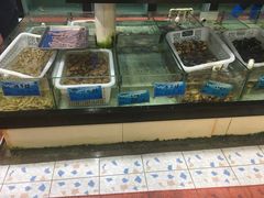 水产区-天鹰观渔(梦园店)
