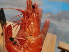 -金海湾海鲜排档(朱家尖店)
