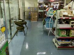 -瑞派宠物医院·24小时骨科·心脏·核磁(哈尔滨南岗店)
