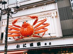 -蟹道乐(道顿堀本店)