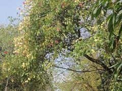 -古宇湖风景名胜区