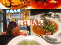 -坛宗剁椒鱼头(河西王府井店)