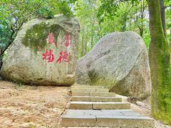-阳台山森林公园