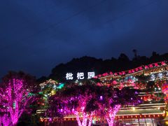 -枇杷园食为鲜火锅(南山店)