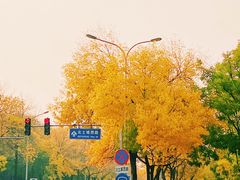 -元大都城垣遗址公园