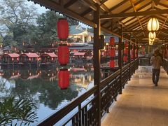 -侨美·唐荔园·40年地道粤菜