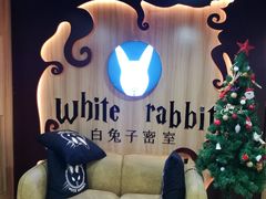-白兔子密室(长寿路店)