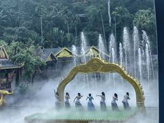-西双版纳原始森林公园