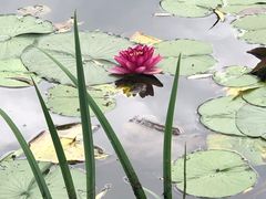 -香山公园