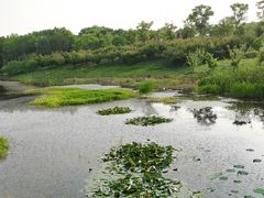 -同里国家湿地公园