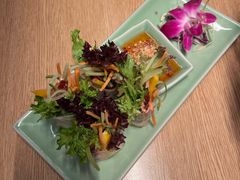 -mango tree芒果树餐厅(广州K11购物艺术中心店)