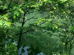 -花果园湿地公园