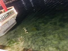 -龙舟池