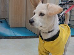 -仁华宠物医院(青羊店)