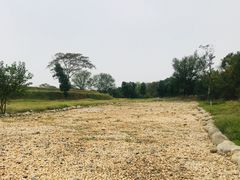 -盘龙城国家考古遗址公园