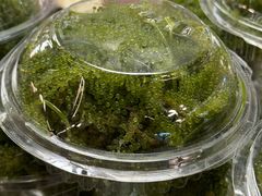 -席娜卡琳火车铁道夜市