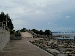 -宝安西湾红树林湿地公园