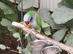 -南宫五洲植物乐园