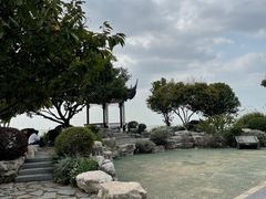 -贡湖湾湿地公园