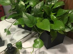 -老廣糖水铺(乐汇城店)