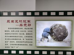 -上海昆虫博物馆