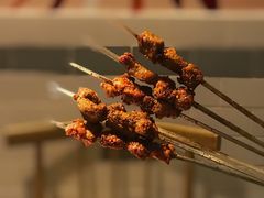 -酒肉行·虎子盐筋烤肉(大寨路店)