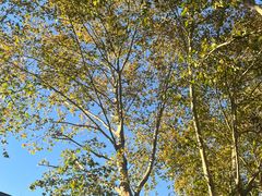 -建设三路(地铁站)