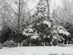 -Tubestation站点比萨(五道营店)