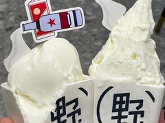 -野人先生现做冰淇淋(北京环宇荟店)