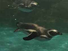 -常州海昌海洋探索馆