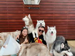 -TrueLove @ Neverland (Husky Cafe)