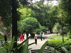 -晓港公园